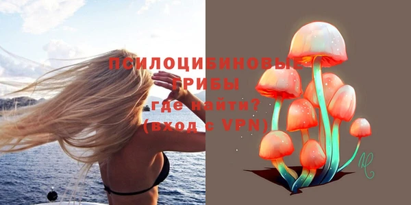 mdpv Медногорск