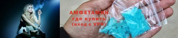 шишки Майский