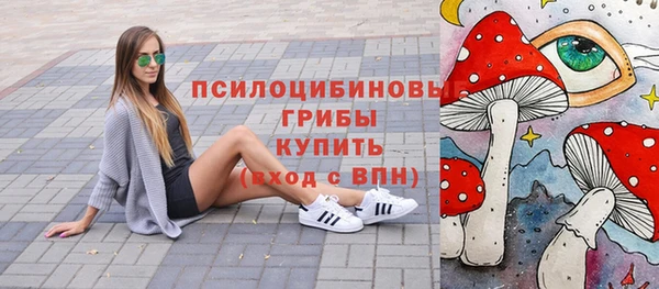 шишки Майский
