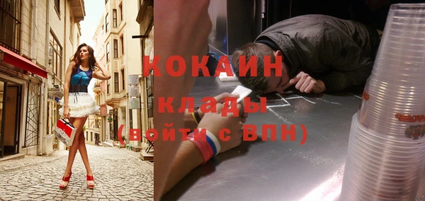 шишки Майский
