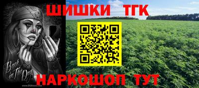 a pvp Бийск