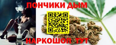 a pvp Бийск