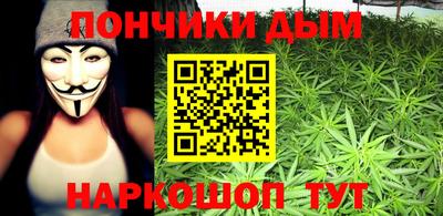 индика Абинск