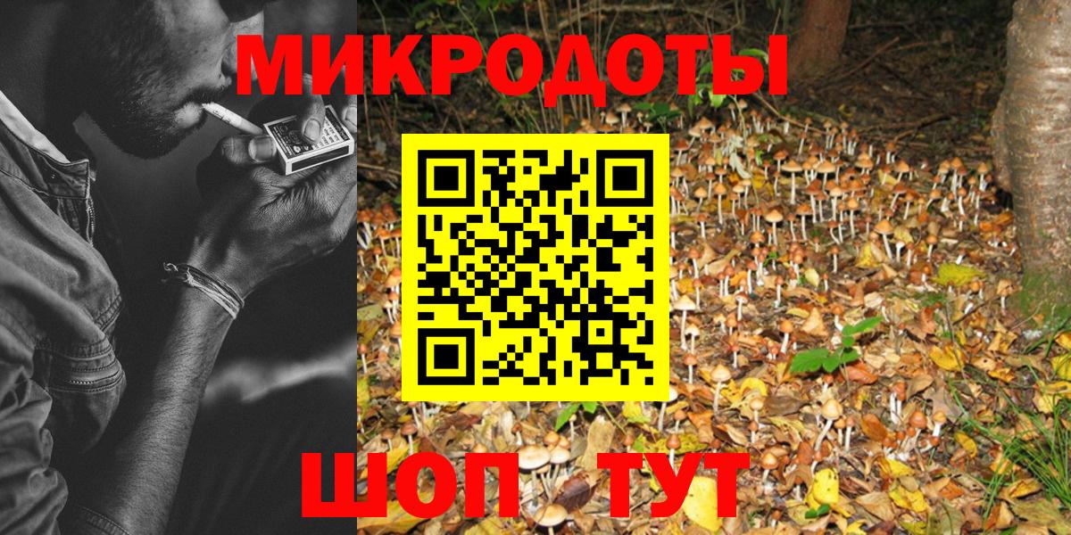 Псилоцибиновые грибы Cubensis Полевской