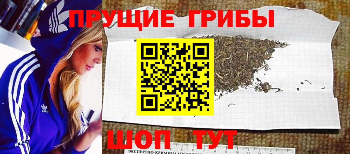 Псилоцибиновые грибы MAGIC MUSHROOMS  Вход с VPN  Полевской 